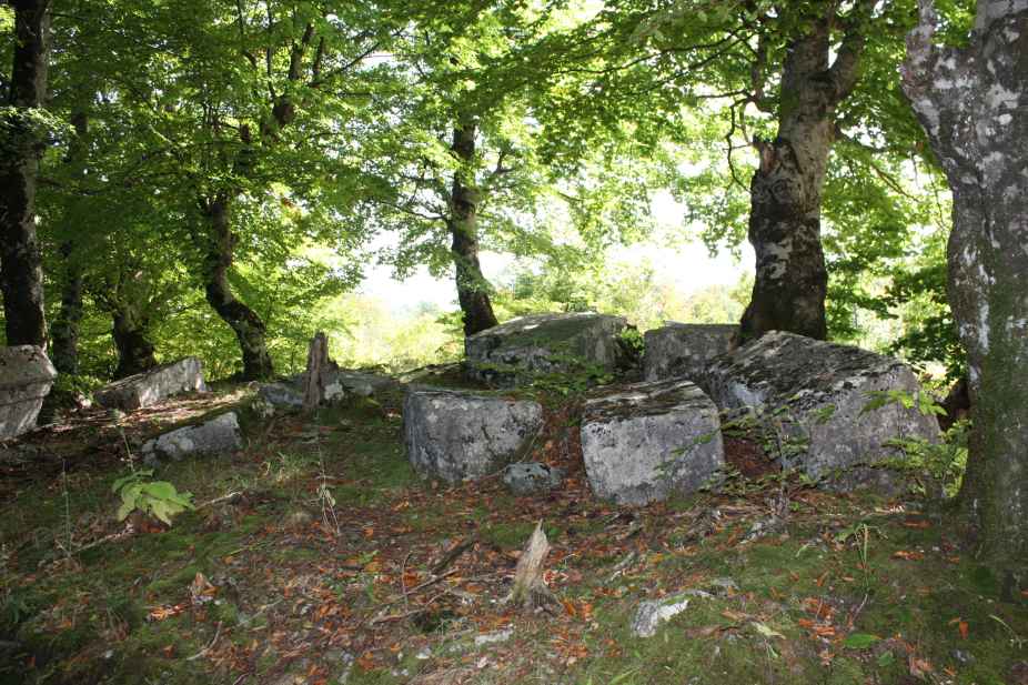 Nekropola sa stećcima na lokalitetu Ograda (Vlah), historijsko područje